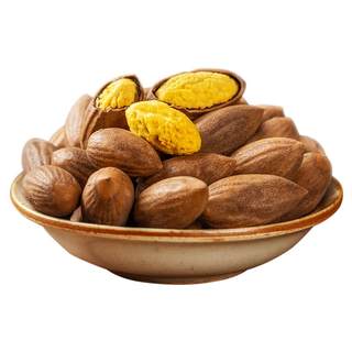 2025 new arrival torreya seeds shiqiu zhuji fengqiao large grains