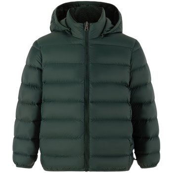 Eaton gide men's regular down jacket