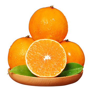 Hot selling and recommended