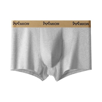 Cat men's underwear 2024 new pure cotton shorts