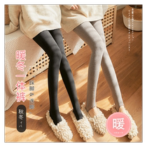 Clearance maternity leggings for autumn and winter outer wear bare leg artifact stockings pregnancy belly support pantyhose