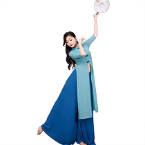 Classical dance 2024 new style rhyme gauze elegant costume performance Chinese dance belly dance suit practice clothes for women