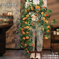 Пастырская розовая розовая апельсин