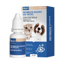 Kitty eye drops eye drops dogs go to tears eyes inciamed with tears with tears with teps