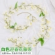 120 белых весенних цветов-1