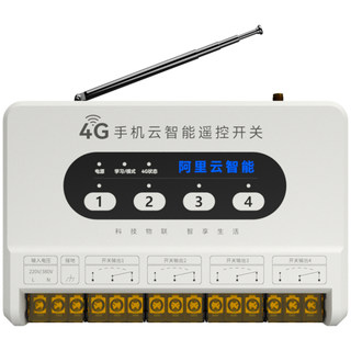 Mobile phone remote control switch to remotely control electric door timing