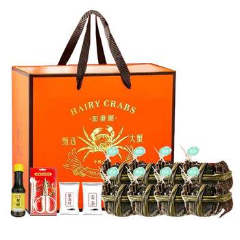 Spot 5.3 hairy crabs fresh crabs yangcheng laomajia 10 super extra large whole female crabs lake fresh official flagship