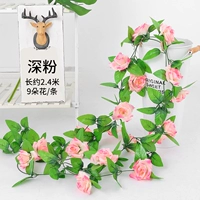 9 голов розы Deep Pink 2