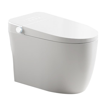 Ranoson g2 smart toilet