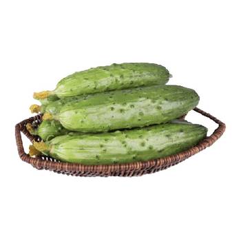 Diy shandong dry cucumber fresh fruit