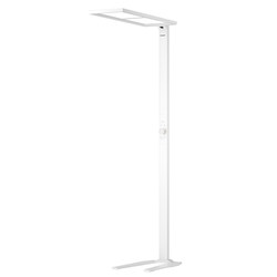 Honeywell Floor-Standing Eye-Protection Desk Lamp for Studying, Special for Children's Homework, Student Desk Lamp, Reading Lamp, Piano Lamp