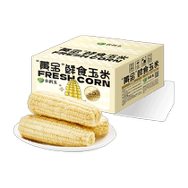 Northeastern white sweet waxy corn golden sweet waxy corn 8 sticks 260g each vacuum meal replacement coarse grain non-GMO