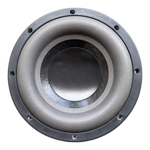 天籁10寸双音圈24颗钕磁低音炮改装车载卡包音响KTV包房会议舞台