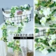 Gardenia Rattan White
