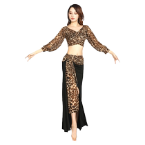 Spring and summer modal belly dance practice clothes plus size slimming V-neck tops oriental dance performance clothes long sleeves