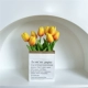 Набор бумажных пакетов Sunset Orange Tulip