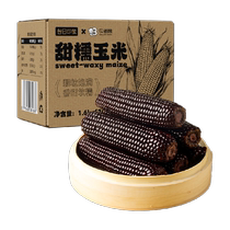Organic black corn 220g*10 glutinous fresh and authentic Northeastern sweet sticky sticks low-fat ready-to-eat meal replacement vacuum