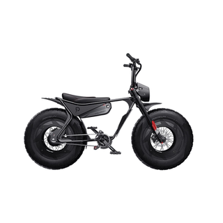 Polyride新款城市出行骑行通勤减震变速胖胎越野电助力电动自行车