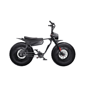 Polyride urban electric-assist e-bike