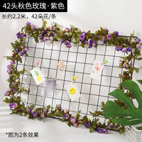 Осенняя роза 42 фиолетовый