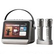 Gift recommendation: Sony Ericsson V8 home karaoke machine