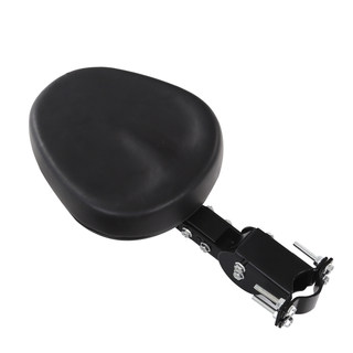 Hong kong pigeon, foldable electric car seat