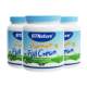 Australian imported Bethen adult milk powder 3 cans