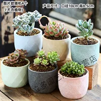 4 случайных цветочных горшка со звездами — большая++ керамика