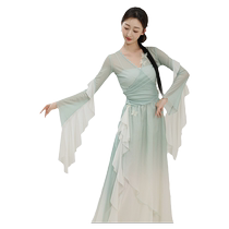 Ye Luoqing dance classical dance body charm fairy butterfly gauze dress culottes Chinese dance performance test dance practice clothes