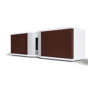 Fross/沸斯 C-26 专业级全频HIFI发烧中置音箱 家庭影院KTV音响