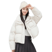 Duck Duck Upright Collar Short down Down Clothing Woman 2024 New Pine Fashion Thickened Bubv Bread J