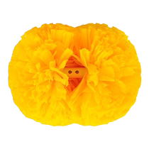 Flower Ball Cheerleaders Holding Flower Balls Flower Balls Cheerleaders Hold Flower Balls Cheerleaders Cheerleaders Cheerleading Dance Performance Props