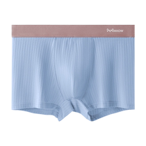 Catman mens underwear mens pure cotton boxer briefs sports breathable antibacterial boys boxer shorts 2024 new style