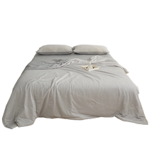 Classe A sensation de froid dété par de la soie de glace lété par lété refroidie par leau machine lavable lavable climatisé quilted by thin quilt single double home