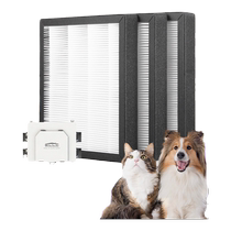Adapted to Brown Fresh Air BME fresh air host haze removal filter set BLGLP-P-05 H-05 filter element 1217