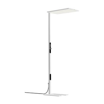 Bull purple light eye protection street lamp