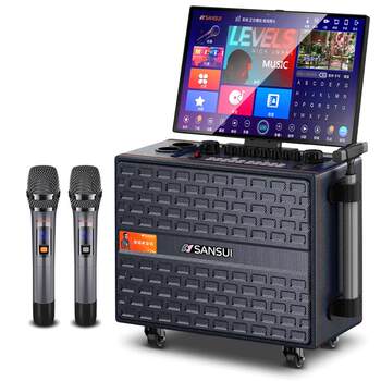 Shanshui family ktv audio set home karaoke