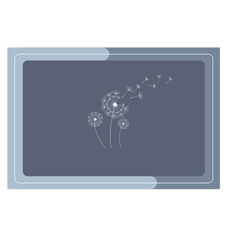 Bathroom absorbent floor mats, bathroom door mats