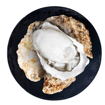 Oysters seafood aquatic products rushan oysters in shell