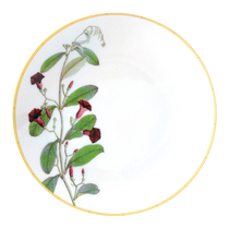 Bertu France Bernardaoud Indian Garden Series Light Luxury Gift Household imported porcelain food plates