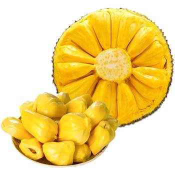 Fresh fruit 20-40 sanya jackfruit