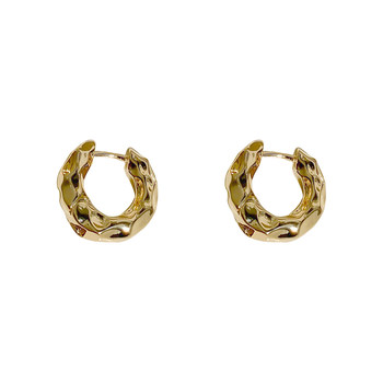 ຕຸ້ມຫູຂະຫນາດນ້ອຍແບບງ່າຍດາຍແລະຄົນອັບເດດ: ins cold style earrings high-end ສໍາລັບແມ່ຍິງ