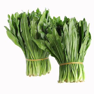 Yunnan dehong fresh vegetable spices coriander