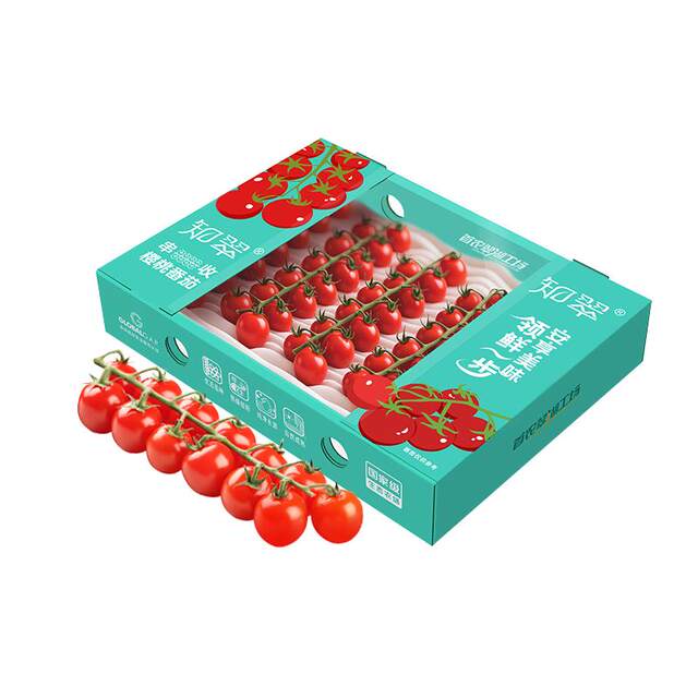 Zhicui Chuan Harvested Cherry Tomatoes Eat Raw and Ripen Naturally