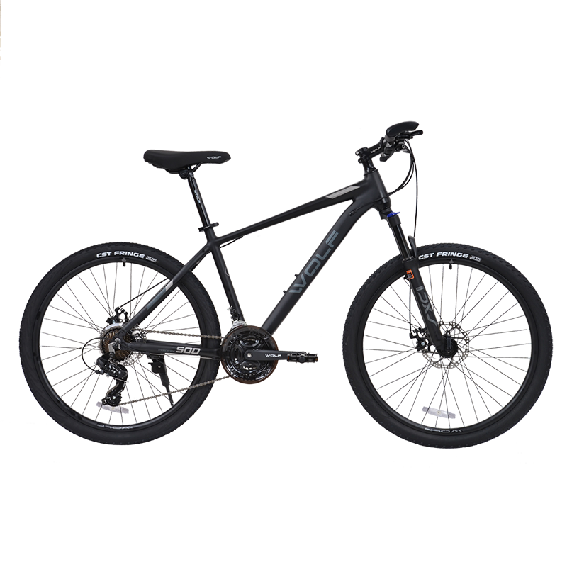 WOLF 公路车星驰Lite 14速 O1CN01AXJNQn1cYLYTlj9ck_!!