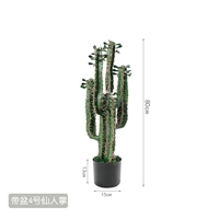 Принесите горшок 4 кактус