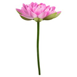 Yingying Furong Language Simulation Lotus Dance Props