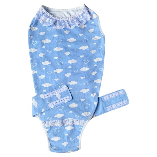 Corgi menstrual pants, a good helper for dogs during pregnancy