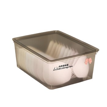 Mier underwear panties and socks storage box with cover