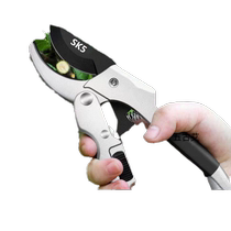 Japanese thick branches strong SK5 imported scissors fruit tree gardening household garden pruning shears labor-saving scissors